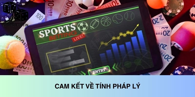 Cam kết tính pháp lý của trang web
