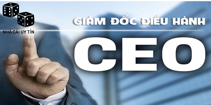 Leader Phạm Long 3 Liên tục cập nhật nhiều nội dung mới mẻ tại website