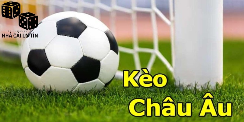 Khám phá kèo Châu Âu - Hình thức cược dễ hiểu, dễ chơi 2 Nghiên cứu kỹ các thông tin kèo cược